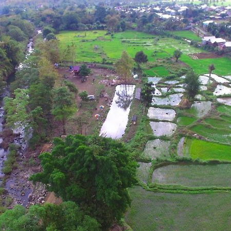 Tiu Batu Homestay Alas エクステリア 写真