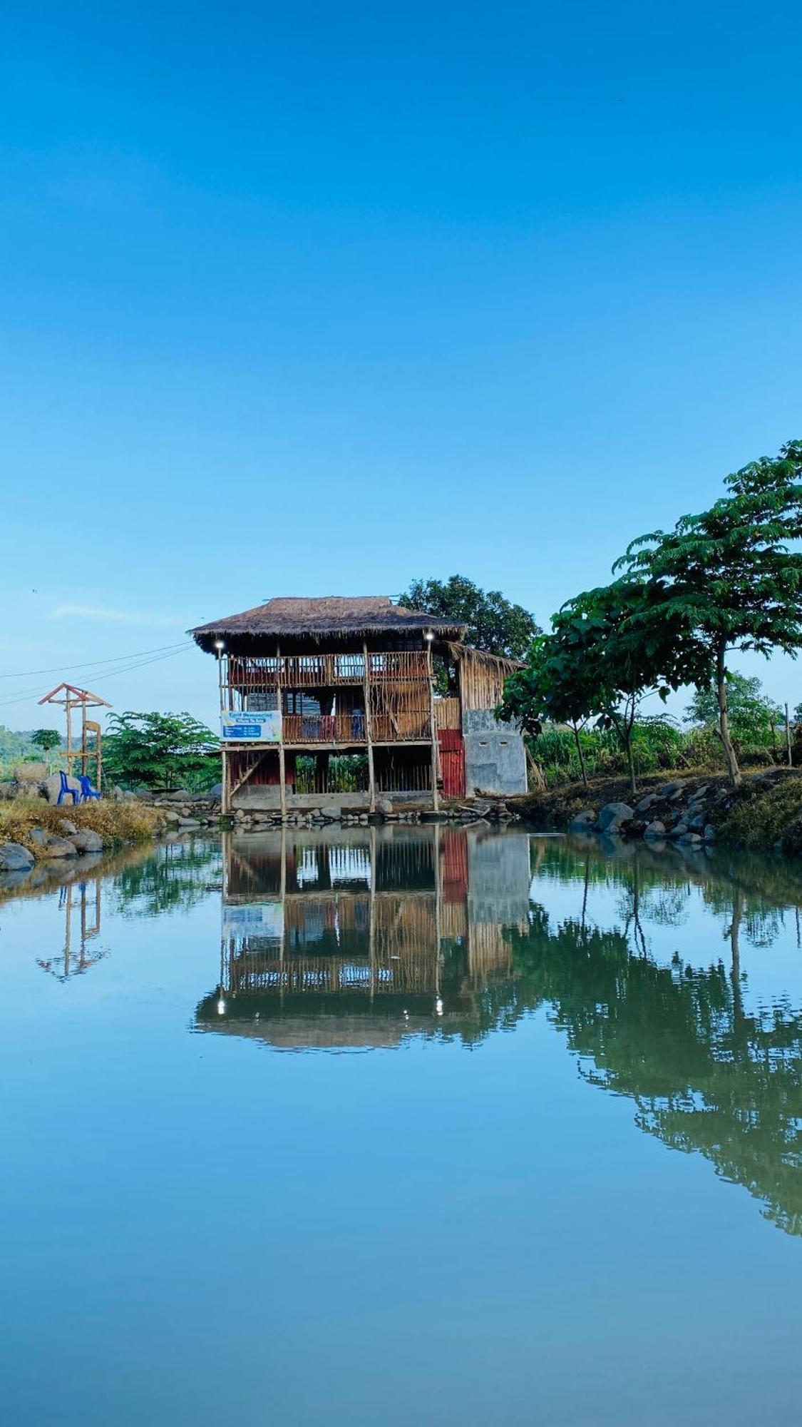 Tiu Batu Homestay Alas エクステリア 写真
