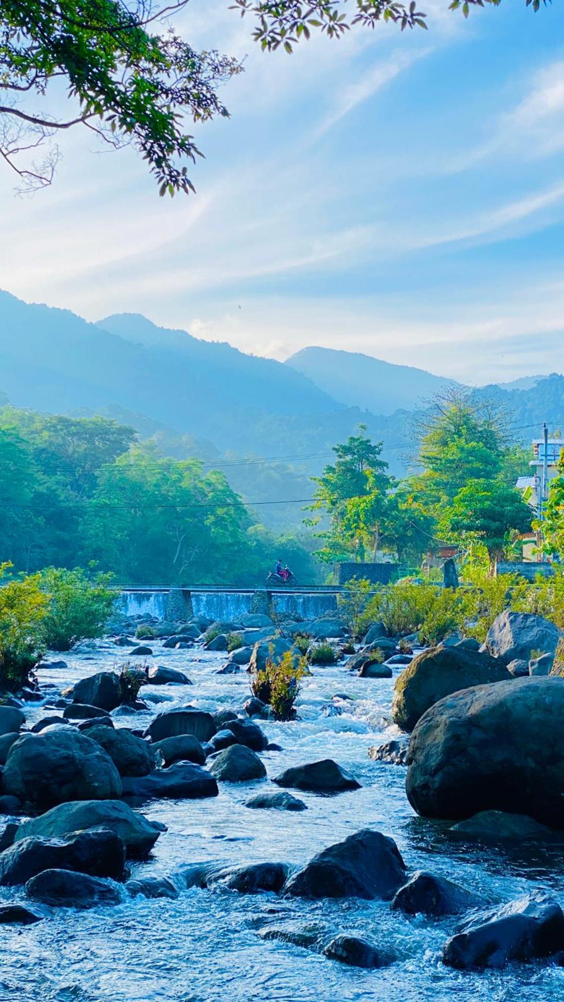 Tiu Batu Homestay Alas エクステリア 写真