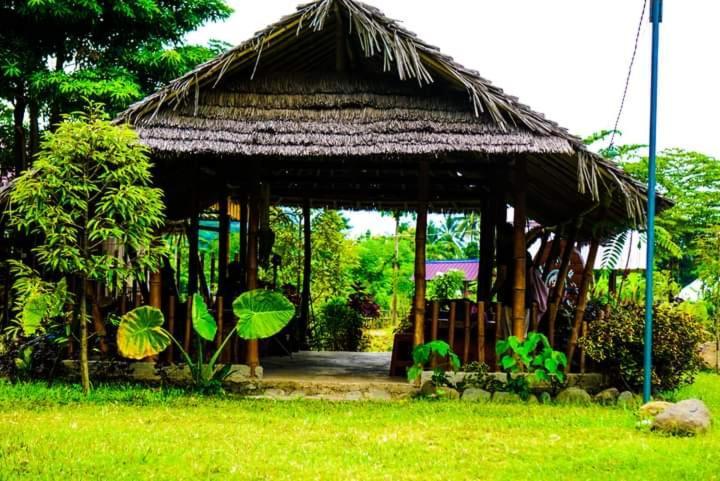 Tiu Batu Homestay Alas エクステリア 写真