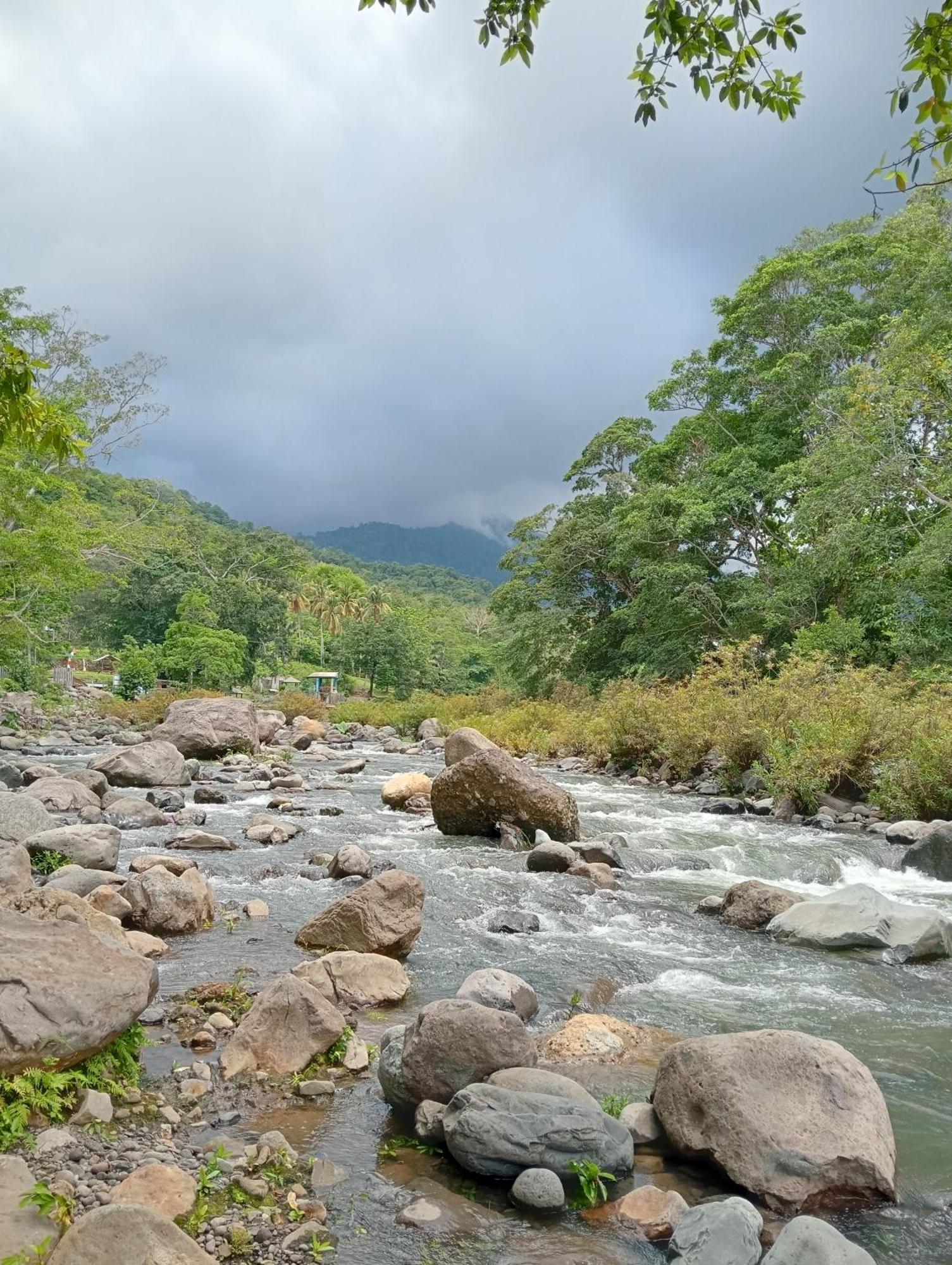 Tiu Batu Homestay Alas エクステリア 写真